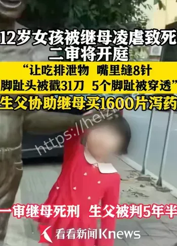 莆田虐童案